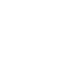 Playtech White_150